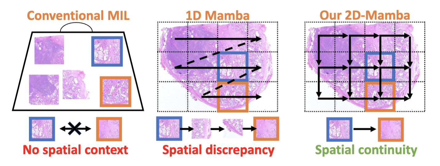 Towards a text-based quantitative and explainable histopathology image analysis