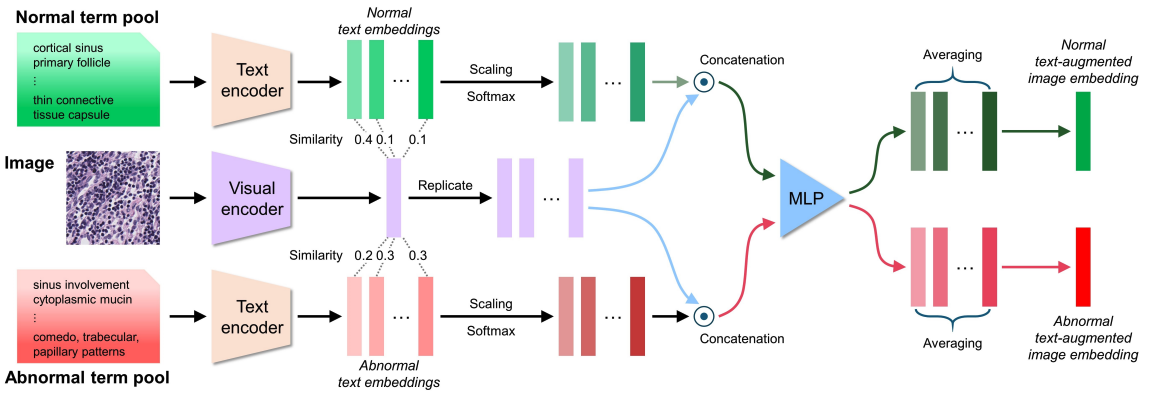 Normal and Abnormal Pathology Knowledge-Augmented Vision-Language Model for Anomaly Detection in Pathology Images