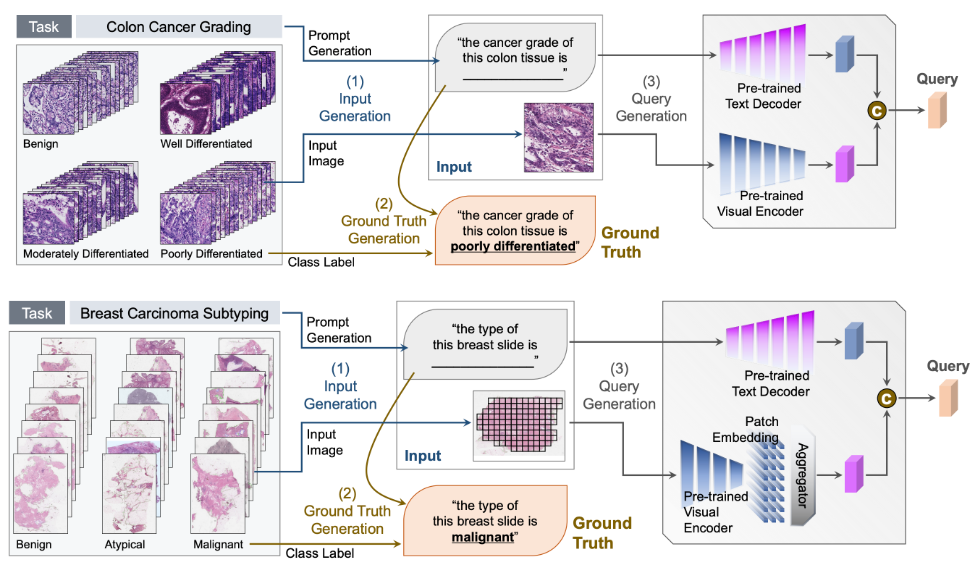 CAMP: Continuous and Adaptive Learning Model in Pathology