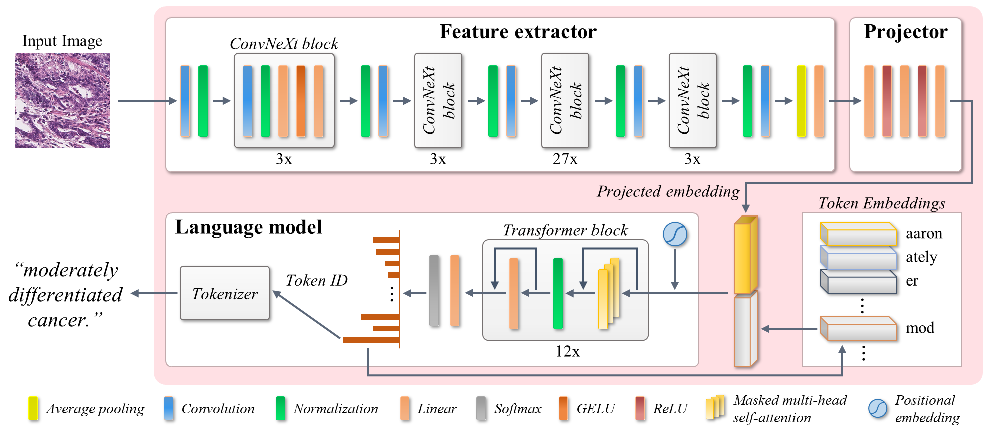 GPC: Generative and General Pathology Image Classifier