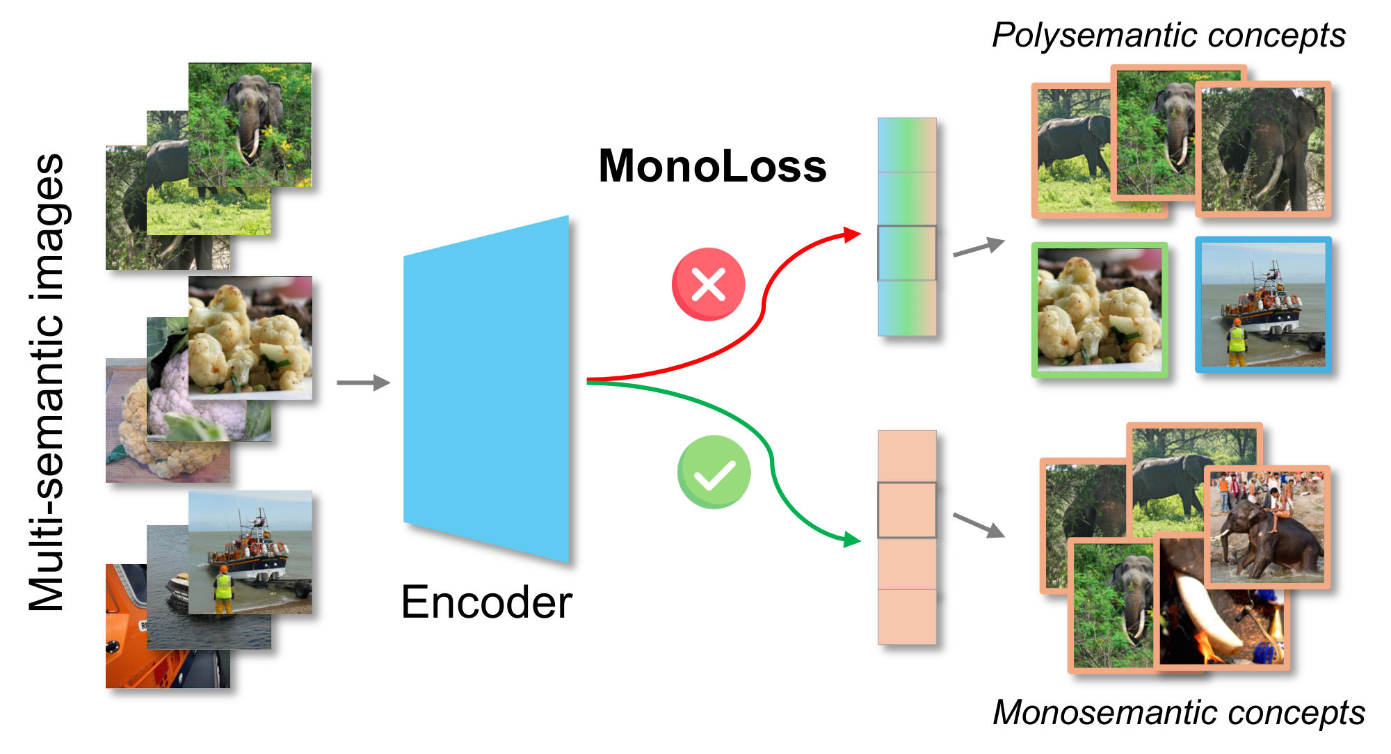 MonoLoss: A Training Objective for Interpretable Monosemantic Representations