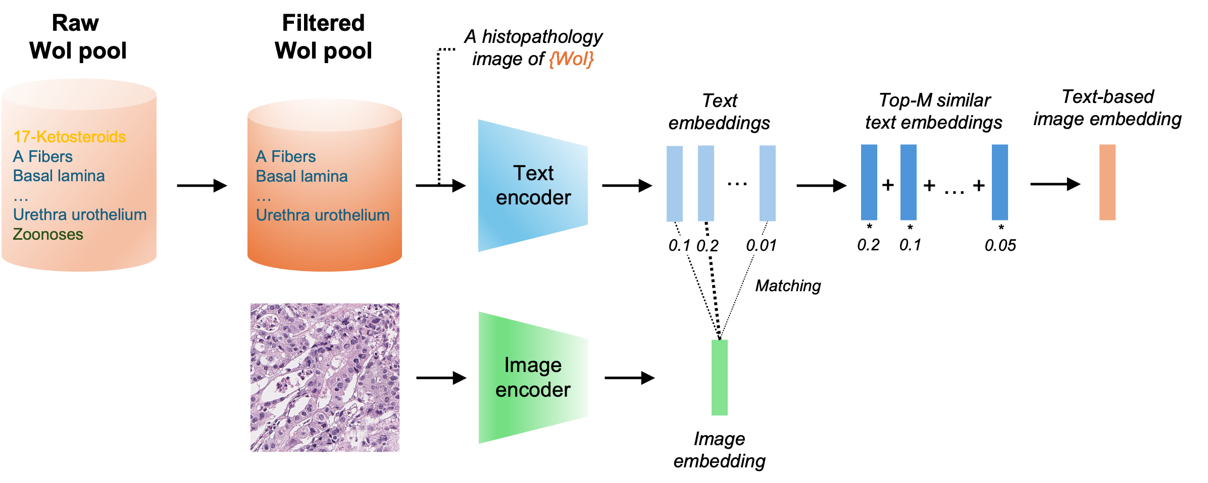 Towards a text-based quantitative and explainable histopathology image analysis